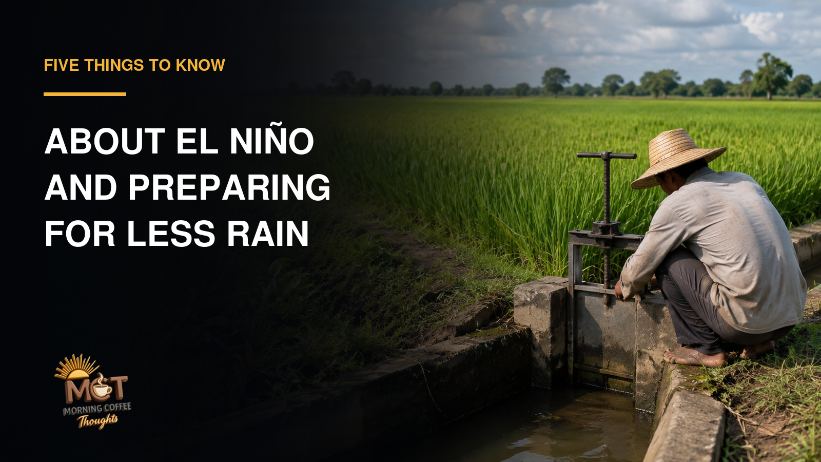 A farmer checking an irrigation gate beside a rice field.