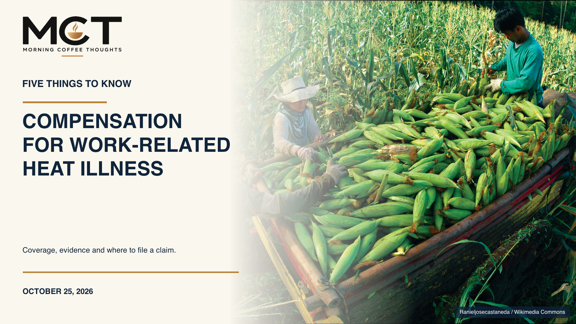 Archival corn farming photograph, captured in 2005, illustrating work context only.